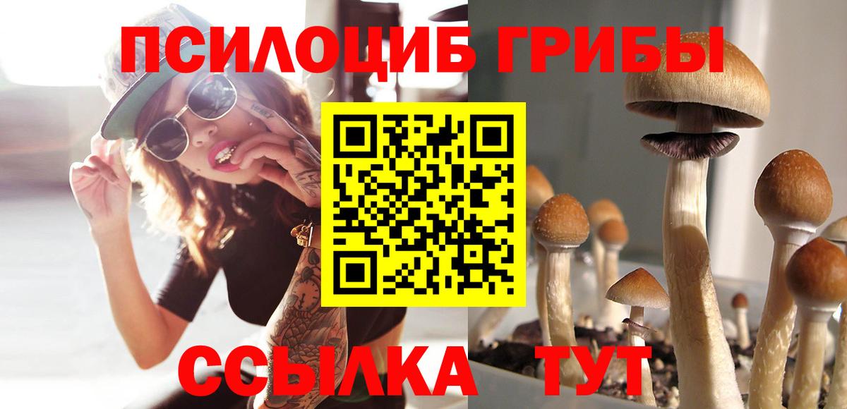 где купить наркоту  Вход с VPN  Миасс  Галлюциногенные грибы ЛСД  Галлюциногенные грибы GOLDEN TEACHER 
